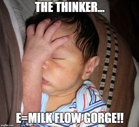 THE THINKER... E=MILK FLOW GORGE!! | image tagged in the thinker | made w/ Imgflip meme maker