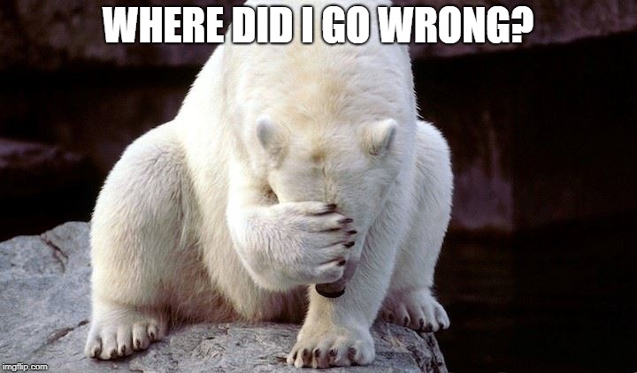 WHERE DID I GO WRONG? | image tagged in facepalm bear | made w/ Imgflip meme maker