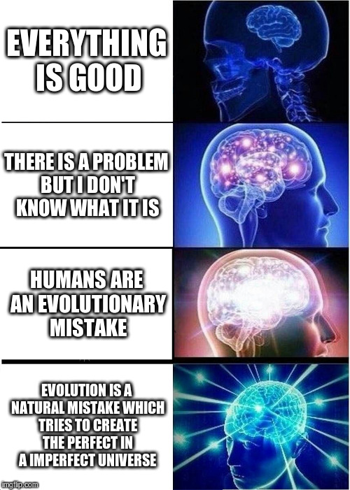 Expanding Brain Meme | EVERYTHING IS GOOD; THERE IS A PROBLEM BUT I DON'T KNOW WHAT IT IS; HUMANS ARE AN EVOLUTIONARY MISTAKE; EVOLUTION IS A NATURAL MISTAKE WHICH TRIES TO CREATE THE PERFECT IN A IMPERFECT UNIVERSE | image tagged in memes,expanding brain | made w/ Imgflip meme maker