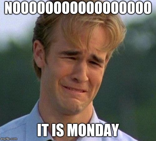 1990s First World Problems Meme | NOOOOOOOOOOOOOOOOO; IT IS MONDAY | image tagged in memes,1990s first world problems | made w/ Imgflip meme maker