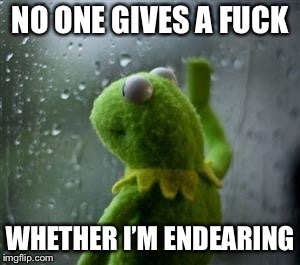 sad kermit at window | NO ONE GIVES A FUCK; WHETHER I’M ENDEARING | image tagged in sad kermit at window | made w/ Imgflip meme maker