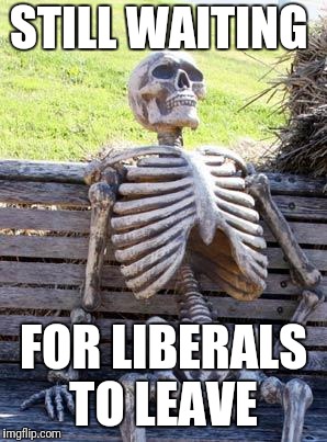 Waiting Skeleton Meme | STILL WAITING FOR LIBERALS TO LEAVE | image tagged in memes,waiting skeleton | made w/ Imgflip meme maker