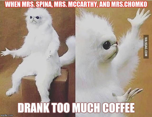 Confused white monkey | WHEN MRS. SPINA, MRS. MCCARTHY, AND MRS.CHOMKO; DRANK TOO MUCH COFFEE | image tagged in confused white monkey | made w/ Imgflip meme maker