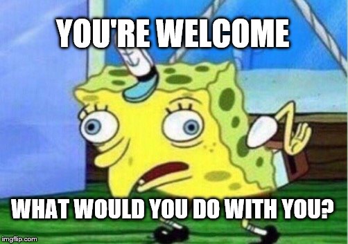 Mocking Spongebob Meme | YOU'RE WELCOME WHAT WOULD YOU DO WITH YOU? | image tagged in memes,mocking spongebob | made w/ Imgflip meme maker