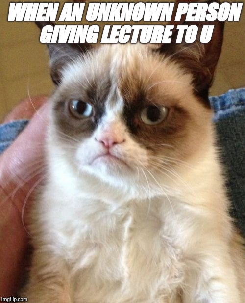 Grumpy Cat Meme | WHEN AN UNKNOWN PERSON GIVING LECTURE TO U | image tagged in memes,grumpy cat | made w/ Imgflip meme maker