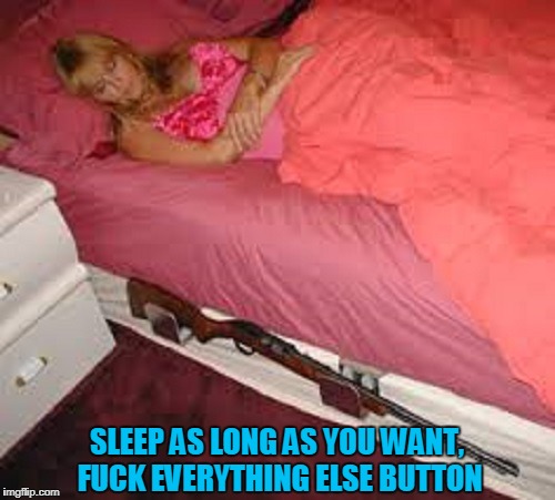 SLEEP AS LONG AS YOU WANT, F**K EVERYTHING ELSE BUTTON | made w/ Imgflip meme maker