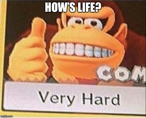 Very Hard Donkey Kong | HOW’S LIFE? | image tagged in very hard donkey kong | made w/ Imgflip meme maker