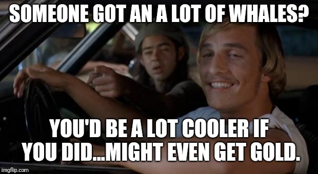 It'd Be A Lot Cooler If You Did | SOMEONE GOT AN A LOT OF WHALES? YOU'D BE A LOT COOLER IF YOU DID...MIGHT EVEN GET GOLD. | image tagged in it'd be a lot cooler if you did | made w/ Imgflip meme maker