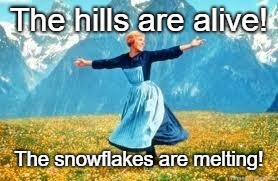 Feelin' good! | The hills are alive! The snowflakes are melting! | image tagged in memes,look at all these,funny,triggered,snowflakes,maga | made w/ Imgflip meme maker