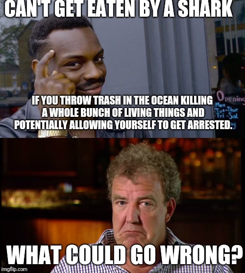 CAN'T GET EATEN BY A SHARK; IF YOU THROW TRASH IN THE OCEAN KILLING A WHOLE BUNCH OF LIVING THINGS AND POTENTIALLY ALLOWING YOURSELF TO GET ARRESTED. WHAT COULD GO WRONG? | image tagged in roll safe think about it,what could go wrong | made w/ Imgflip meme maker