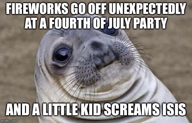 Awkward Moment Sealion | FIREWORKS GO OFF UNEXPECTEDLY AT A FOURTH OF JULY PARTY; AND A LITTLE KID SCREAMS ISIS | image tagged in memes,awkward moment sealion | made w/ Imgflip meme maker