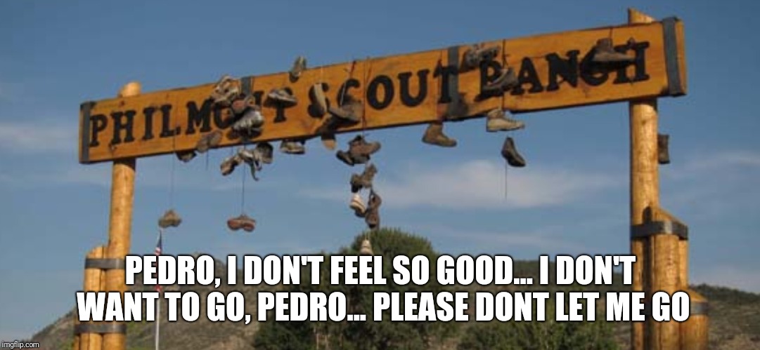 Infinity philmont | PEDRO, I DON'T FEEL SO GOOD...
I DON'T WANT TO GO, PEDRO... PLEASE DONT LET ME GO | image tagged in boy scouts,philmont | made w/ Imgflip meme maker
