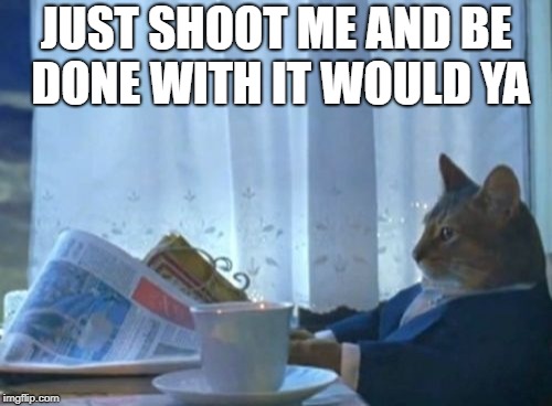 I Should Buy A Boat Cat | JUST SHOOT ME AND BE DONE WITH IT WOULD YA | image tagged in memes,i should buy a boat cat | made w/ Imgflip meme maker