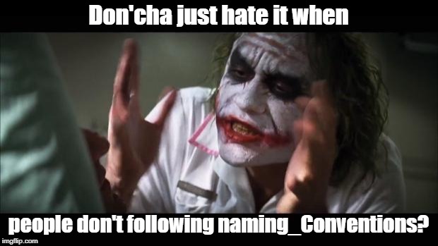 And everybody loses their minds Meme | Don'cha just hate it when; people don't following naming_Conventions? | image tagged in memes,and everybody loses their minds | made w/ Imgflip meme maker