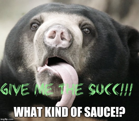 Give me the SUCC | WHAT KIND OF SAUCE!? | image tagged in give me the succ | made w/ Imgflip meme maker