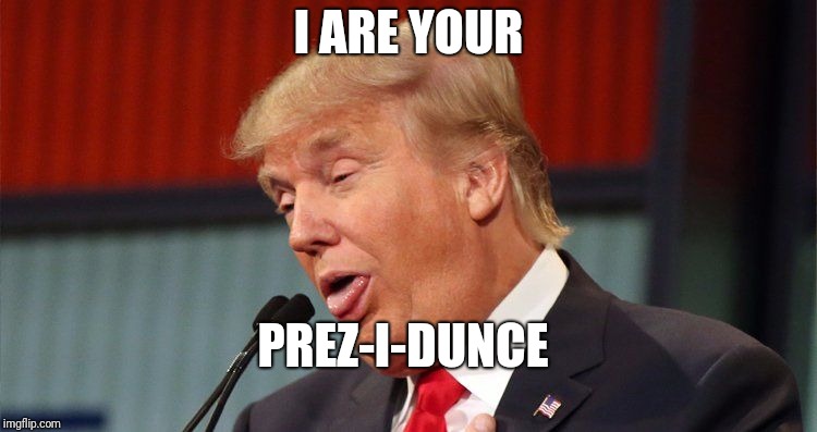 Trump stupid face mocking reporter | I ARE YOUR; PREZ-I-DUNCE | image tagged in trump stupid face mocking reporter | made w/ Imgflip meme maker