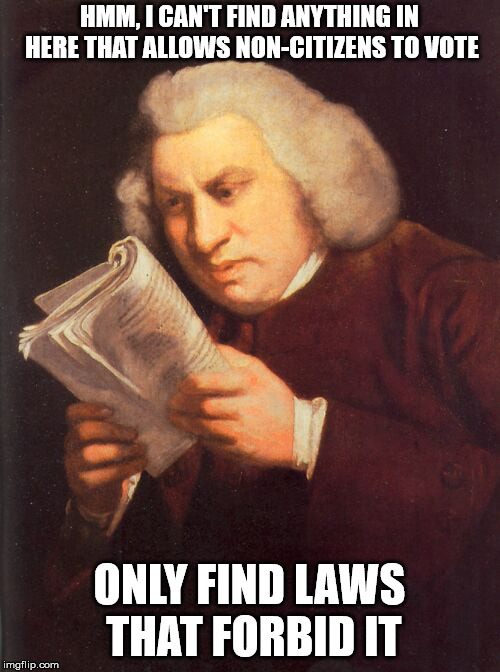 HMM, I CAN'T FIND ANYTHING IN HERE THAT ALLOWS NON-CITIZENS TO VOTE ONLY FIND LAWS THAT FORBID IT | made w/ Imgflip meme maker