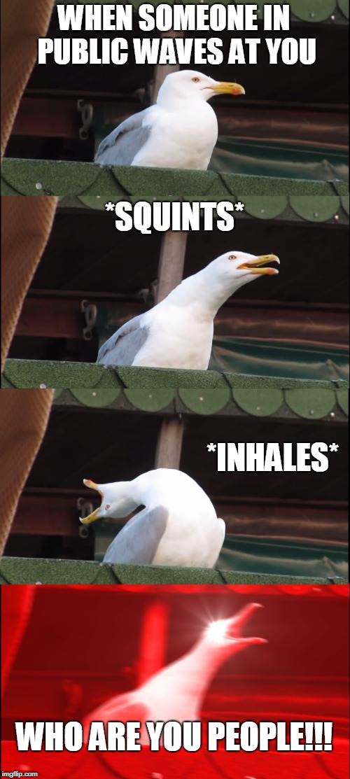 Inhaling Seagull Meme | WHEN SOMEONE IN PUBLIC WAVES AT YOU; *SQUINTS*; *INHALES*; WHO ARE YOU PEOPLE!!! | image tagged in memes,inhaling seagull | made w/ Imgflip meme maker