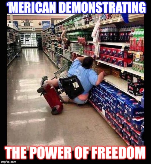 Murica Scooter | ‘MERICAN DEMONSTRATING; THE POWER OF FREEDOM | image tagged in murica scooter | made w/ Imgflip meme maker