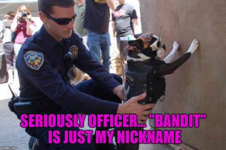 SERIOUSLY OFFICER... "BANDIT" IS JUST MY NICKNAME | made w/ Imgflip meme maker