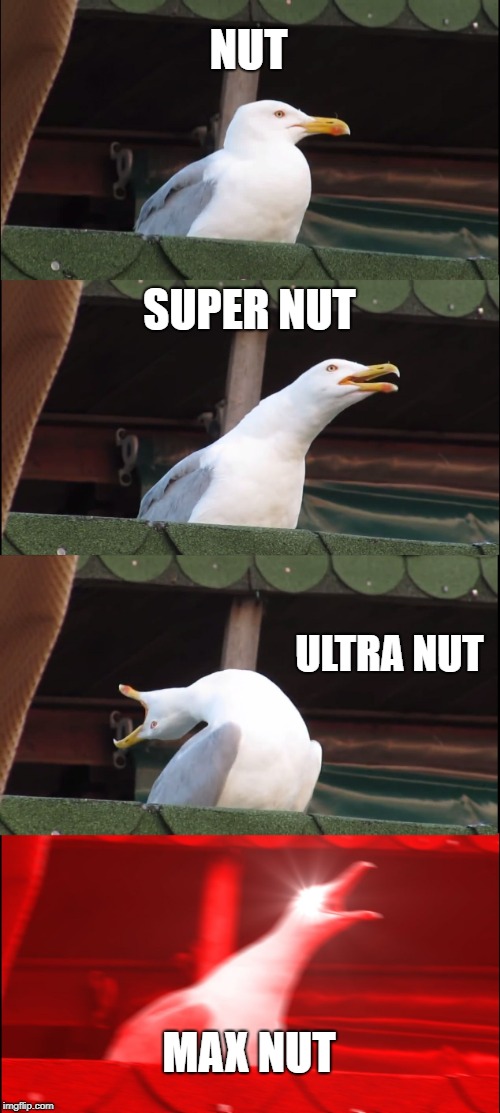 Inhaling Seagull | NUT; SUPER NUT; ULTRA NUT; MAX NUT | image tagged in memes,inhaling seagull | made w/ Imgflip meme maker