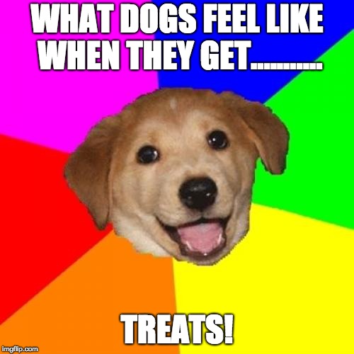 Advice Dog Meme | WHAT DOGS FEEL LIKE WHEN THEY GET........... TREATS! | image tagged in memes,advice dog | made w/ Imgflip meme maker