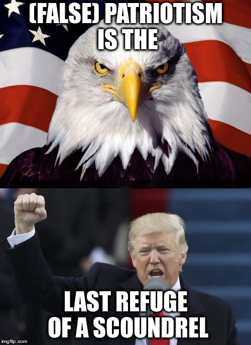 Don't do that in my name |  (FALSE) PATRIOTISM IS THE; LAST REFUGE OF A SCOUNDREL | image tagged in trump,patriotic eagle,patriotism,scoundrel,politics | made w/ Imgflip meme maker