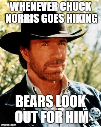 Chuck Norris | WHENEVER CHUCK NORRIS GOES HIKING; BEARS LOOK OUT FOR HIM | image tagged in memes,chuck norris | made w/ Imgflip meme maker