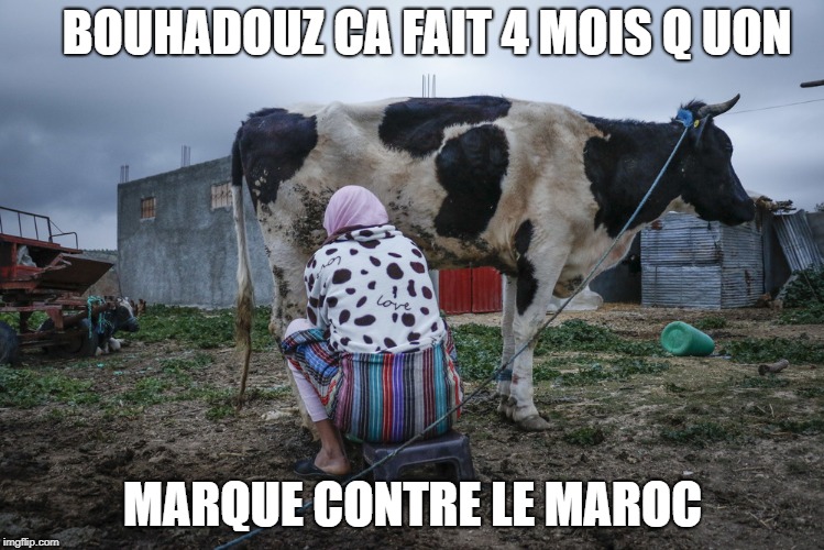 MOROCCO | BOUHADOUZ CA FAIT 4 MOIS Q UON; MARQUE CONTRE LE MAROC | image tagged in boycotting | made w/ Imgflip meme maker