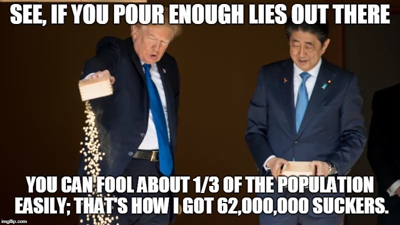 Suckers | SEE, IF YOU POUR ENOUGH LIES OUT THERE; YOU CAN FOOL ABOUT 1/3 OF THE POPULATION EASILY; THAT'S HOW I GOT 62,000,000 SUCKERS. | image tagged in lies,trump,trump supporters,suckers | made w/ Imgflip meme maker