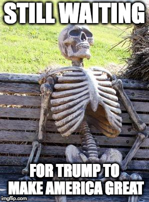Waiting Skeleton | STILL WAITING; FOR TRUMP TO MAKE AMERICA GREAT | image tagged in memes,waiting skeleton | made w/ Imgflip meme maker