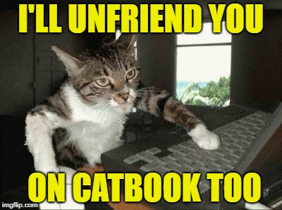 I'LL UNFRIEND YOU ON CATBOOK TOO | made w/ Imgflip meme maker