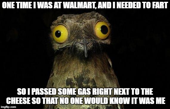 Stealth Level: Expert | ONE TIME I WAS AT WALMART, AND I NEEDED TO FART; SO I PASSED SOME GAS RIGHT NEXT TO THE CHEESE SO THAT NO ONE WOULD KNOW IT WAS ME | image tagged in memes,weird stuff i do potoo,walmart,fart,cheese | made w/ Imgflip meme maker