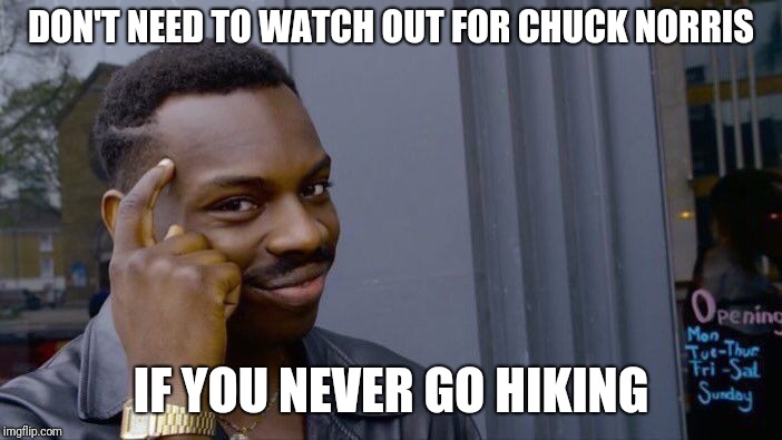 Roll Safe Think About It Meme | DON'T NEED TO WATCH OUT FOR CHUCK NORRIS IF YOU NEVER GO HIKING | image tagged in memes,roll safe think about it | made w/ Imgflip meme maker