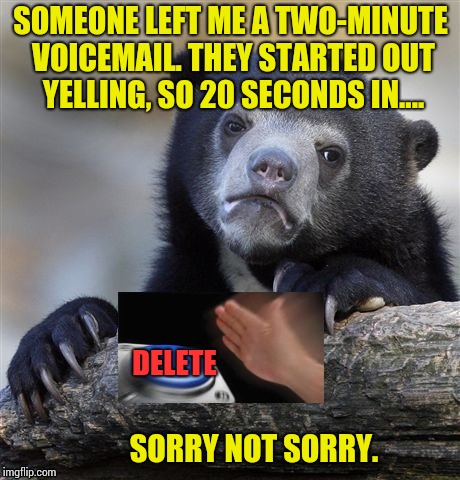 Next time, kill 'em with kindness. | SOMEONE LEFT ME A TWO-MINUTE VOICEMAIL. THEY STARTED OUT YELLING, SO 20 SECONDS IN.... DELETE; SORRY NOT SORRY. | image tagged in memes,confession bear | made w/ Imgflip meme maker