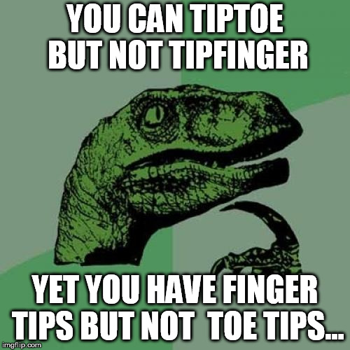 Philosoraptor Meme | YOU CAN TIPTOE BUT NOT TIPFINGER; YET YOU HAVE FINGER TIPS BUT NOT  TOE TIPS... | image tagged in memes,philosoraptor | made w/ Imgflip meme maker