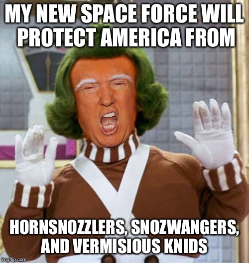 Space Force | MY NEW SPACE FORCE WILL PROTECT AMERICA FROM; HORNSNOZZLERS, SNOZWANGERS, AND VERMISIOUS KNIDS | image tagged in trump oompa loompa | made w/ Imgflip meme maker