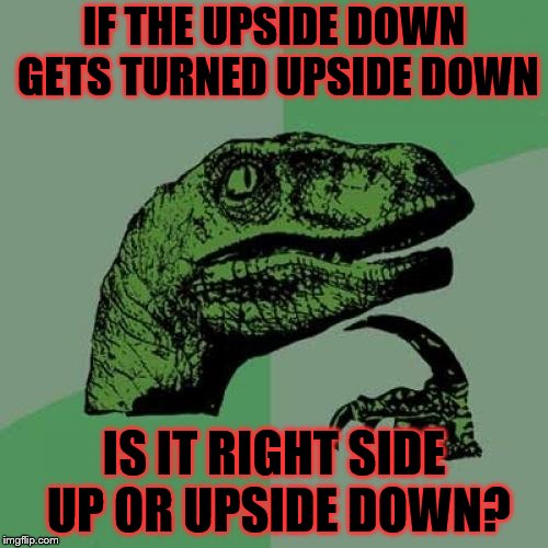 Philosoraptor | IF THE UPSIDE DOWN GETS TURNED UPSIDE DOWN; IS IT RIGHT SIDE UP OR UPSIDE DOWN? | image tagged in memes,philosoraptor,stranger things | made w/ Imgflip meme maker