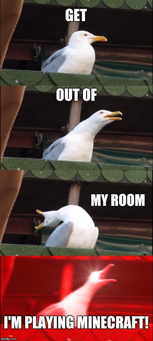 Inhaling Seagull | GET; OUT OF; MY ROOM; I'M PLAYING MINECRAFT! | image tagged in memes,inhaling seagull | made w/ Imgflip meme maker
