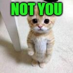 NOT YOU | made w/ Imgflip meme maker