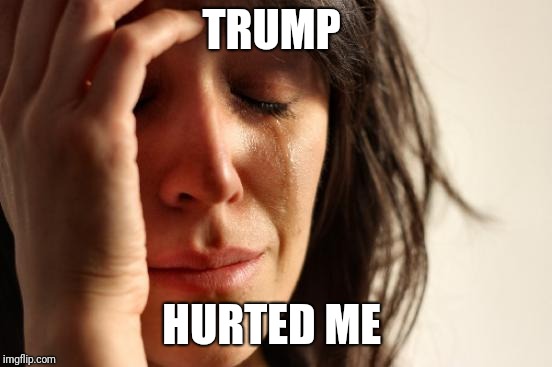 Liberals and millennials be like | TRUMP; HURTED ME | image tagged in memes,first world problems | made w/ Imgflip meme maker