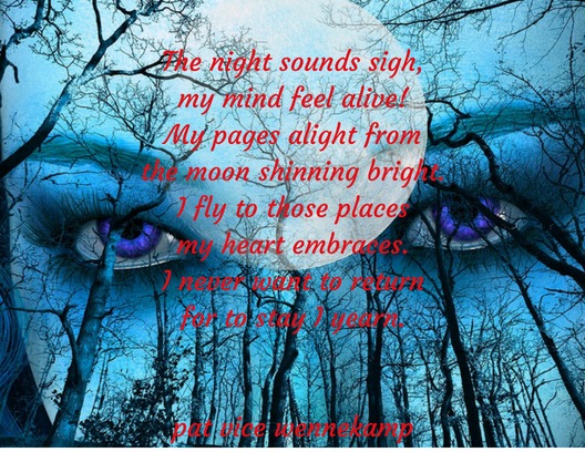 Night Sounds | image tagged in poetry | made w/ Imgflip meme maker