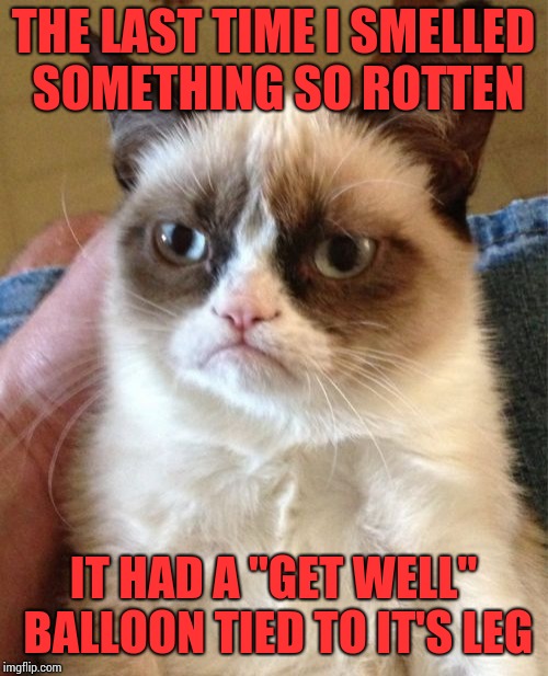 Grumpy Cat Meme | THE LAST TIME I SMELLED SOMETHING SO ROTTEN; IT HAD A "GET WELL" BALLOON TIED TO IT'S LEG | image tagged in memes,grumpy cat | made w/ Imgflip meme maker