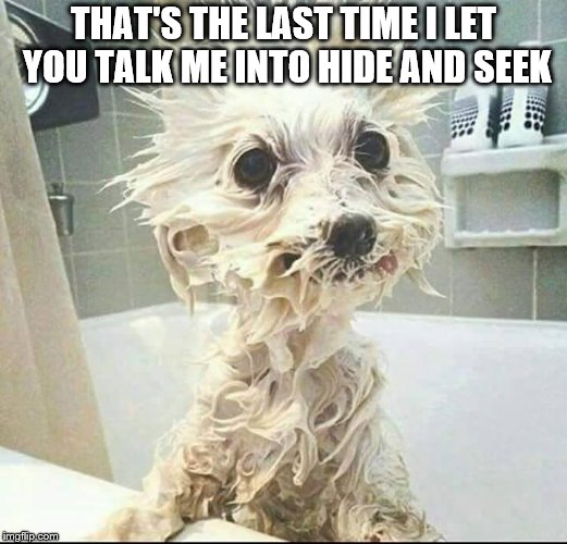 puppy's bath | THAT'S THE LAST TIME I LET YOU TALK ME INTO HIDE AND SEEK | image tagged in puppy's bath | made w/ Imgflip meme maker