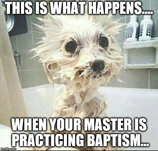 puppy's bath | THIS IS WHAT HAPPENS.... WHEN YOUR MASTER IS PRACTICING BAPTISM... | image tagged in puppy's bath | made w/ Imgflip meme maker