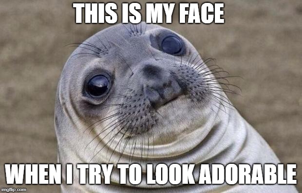 Awkward Moment Sealion Meme | THIS IS MY FACE; WHEN I TRY TO LOOK ADORABLE | image tagged in memes,awkward moment sealion | made w/ Imgflip meme maker