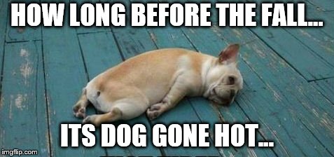 tired puppy | HOW LONG BEFORE THE FALL... ITS DOG GONE HOT... | image tagged in tired puppy | made w/ Imgflip meme maker