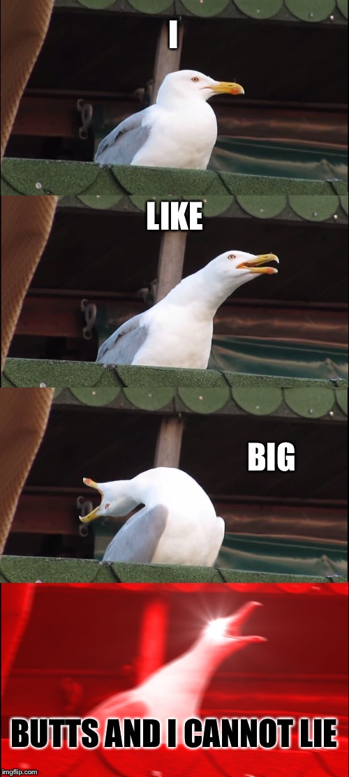 Inhaling Seagull Meme | I; LIKE; BIG; BUTTS AND I CANNOT LIE | image tagged in memes,inhaling seagull | made w/ Imgflip meme maker