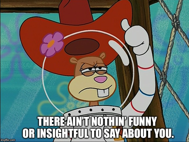 There ain’t nothin’ funny or insightful to say about you. | THERE AIN’T NOTHIN’ FUNNY OR INSIGHTFUL TO SAY ABOUT YOU. | image tagged in sandy cheeks,memes,spongebob squarepants,sandy cheeks cowboy hat,funny | made w/ Imgflip meme maker