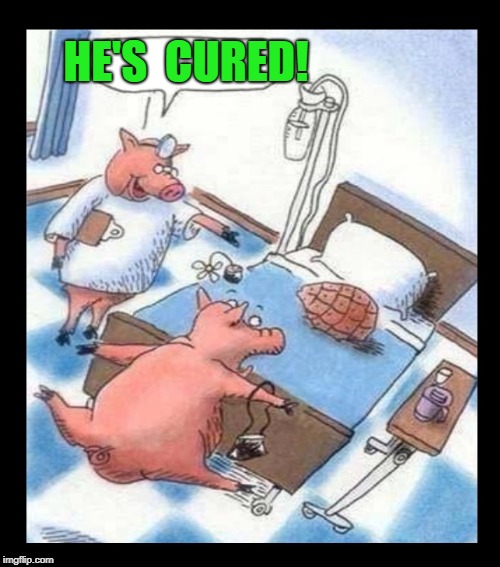 Mmmmm...  Cured ham! | HE'S  CURED! | image tagged in funny meme,pigs,food,doctor,hospital,nurse | made w/ Imgflip meme maker